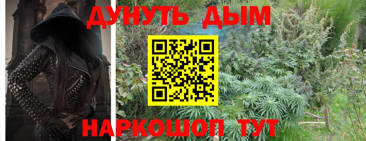 Канабис OG Kush  Конопля SATIVA & INDICA  Вход с VPN  Медногорск 